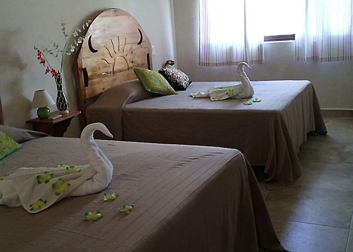 Maya Vacanze Playa Natural Hotel