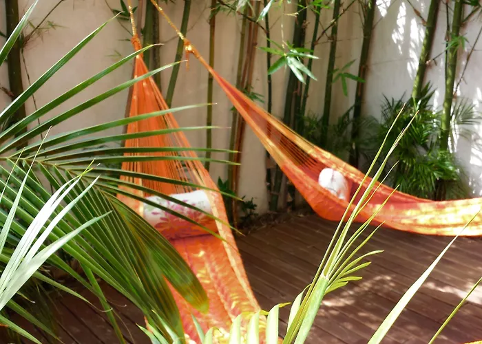 Maya Vacanze Playa Natural Hotel 2*