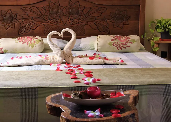 Maya Vacanze Playa Natural Hotel 2*